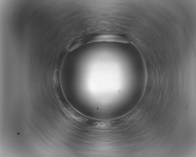 X0000073420088200608111402