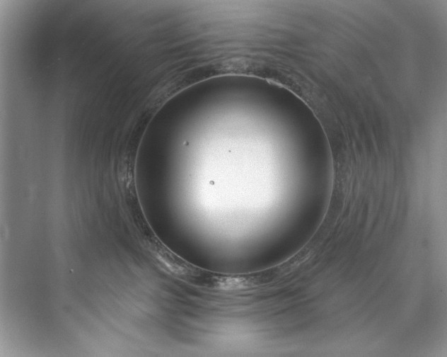 X0000073420091200608111402