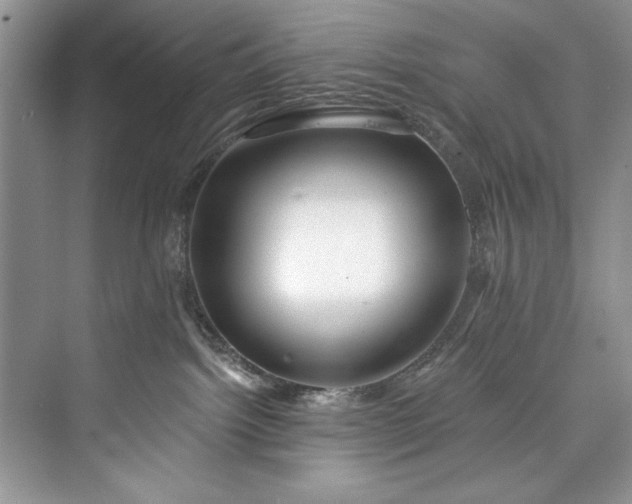 X0000073420092200608111402