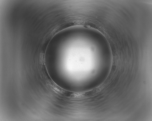 X0000073420093200608111402