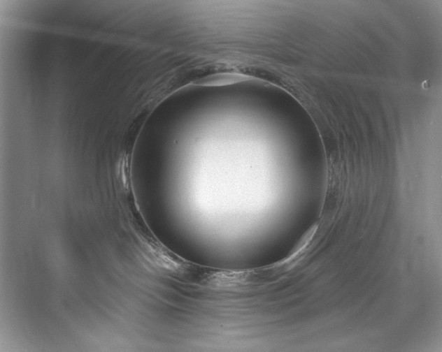 X0000073420094200608111402