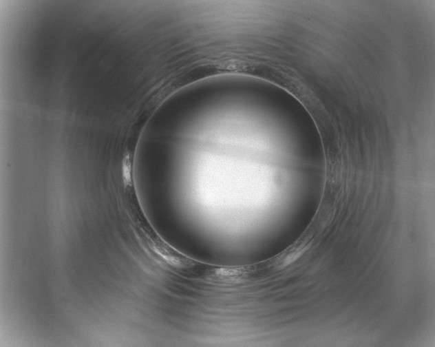 X0000073420095200608111402