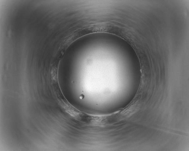 X0000073420096200608111402