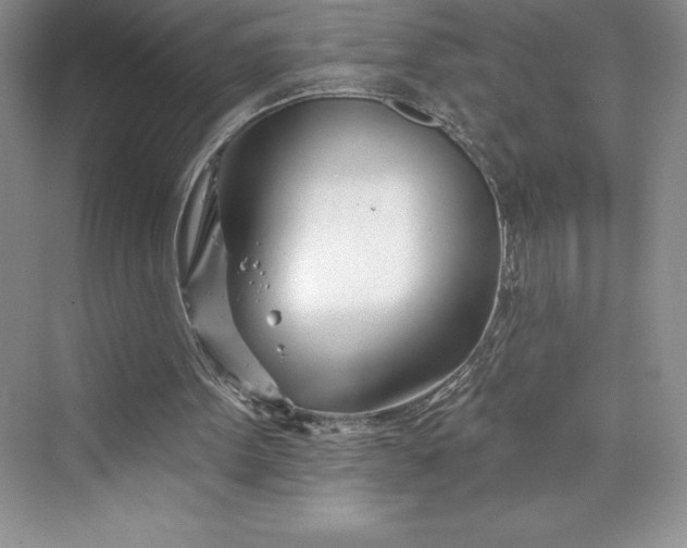 X0000073420099200608111401