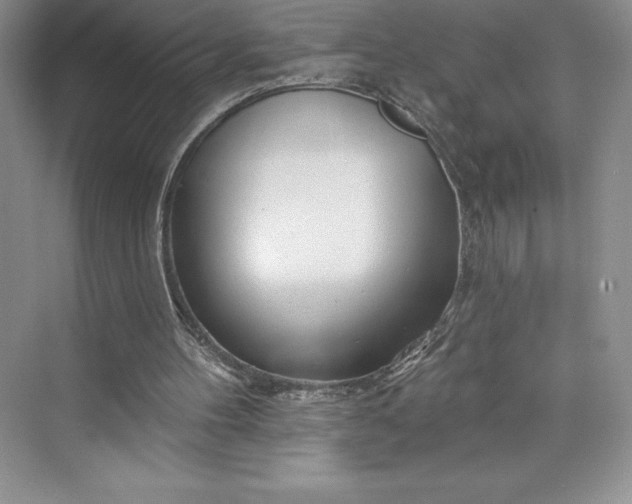 X0000073420100200608111401