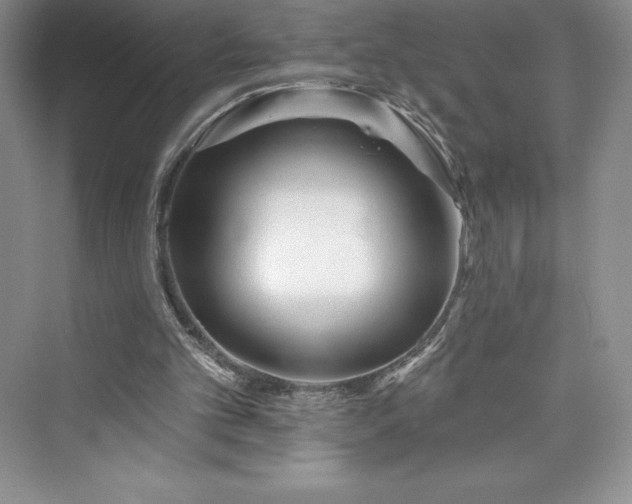 X0000073420101200608111401