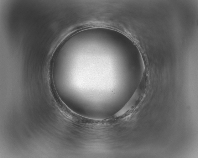 X0000073420103200608111401