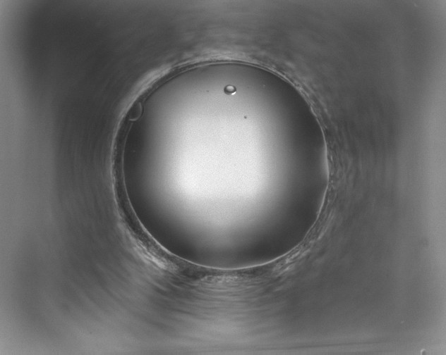 X0000073420104200608111401