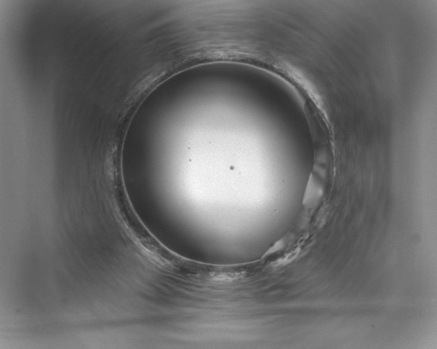 X0000073420105200608111401