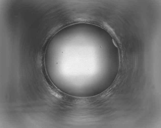 X0000073420106200608111401