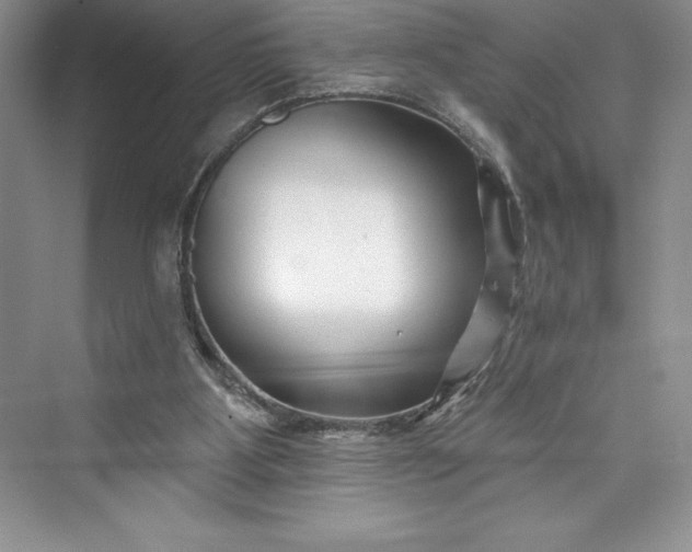 X0000073420107200608111401