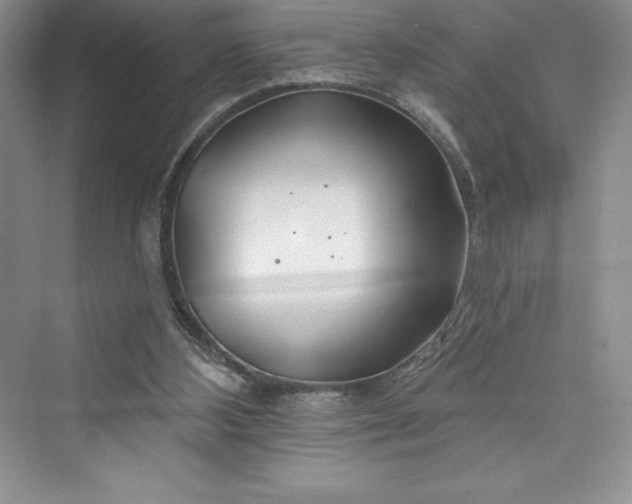 X0000073420108200608111401