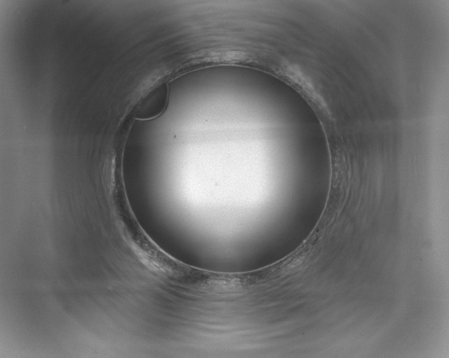 X0000073420110200608111401