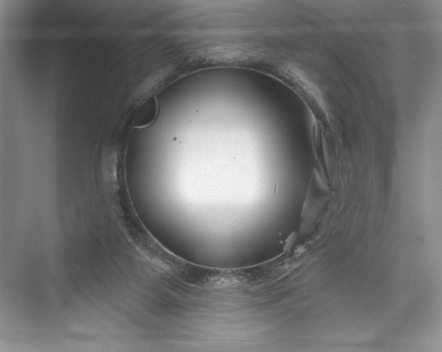 X0000073420115200608111401