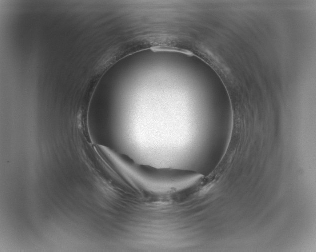 X0000073420117200608111401