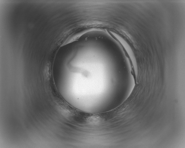 X0000073420119200608111401