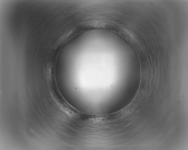 X0000073420120200608111401