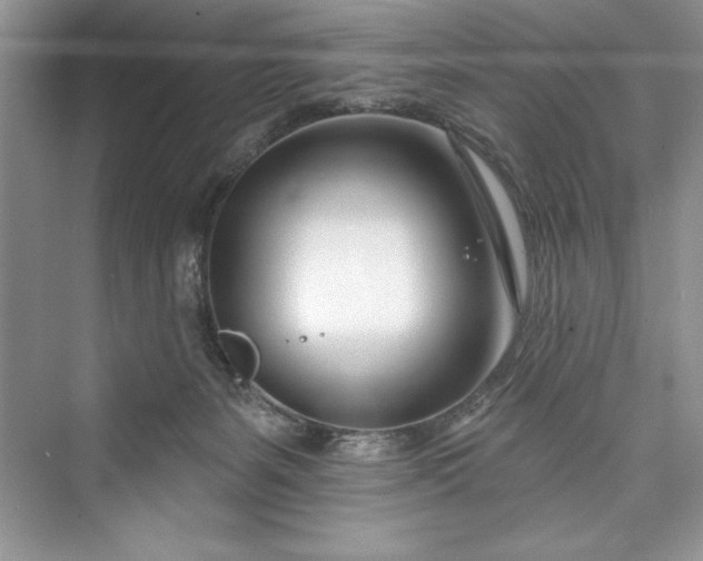 X0000073420127200608111401