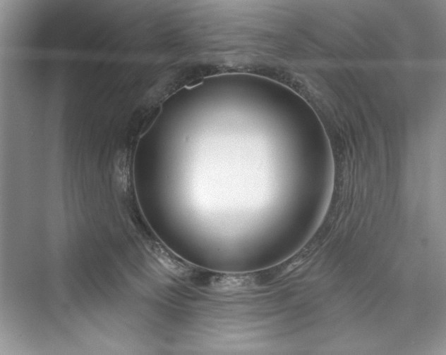 X0000073420129200608111401