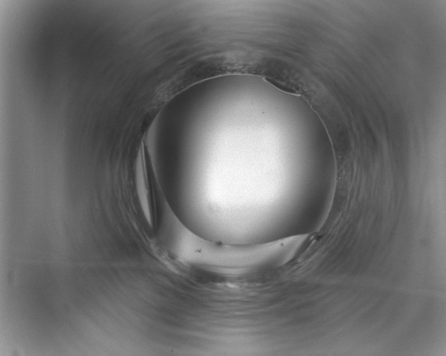 X0000073420137200608111401