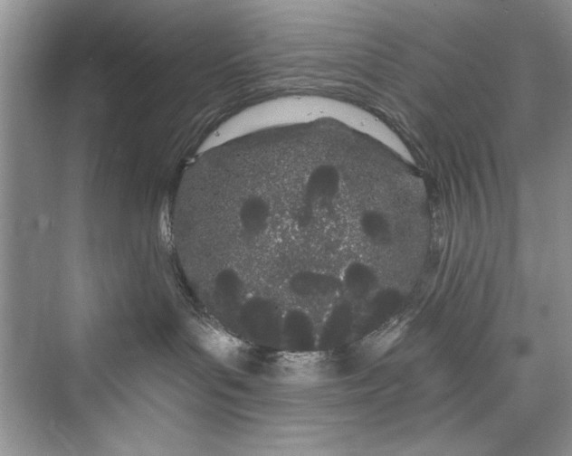 X0000073420143200608111401