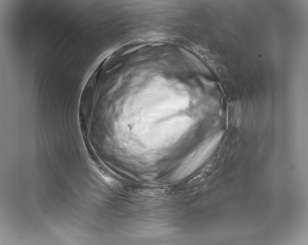 X0000073420147200608111400