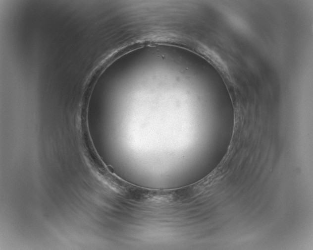 X0000073420155200608111400