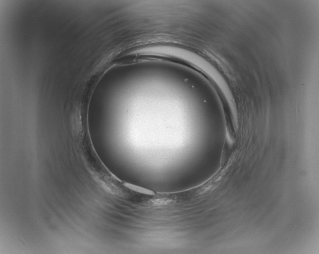 X0000073420158200608111400