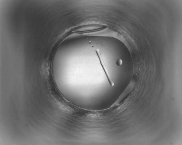 X0000073420160200608111400