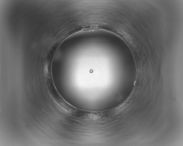 X0000073420166200608111400