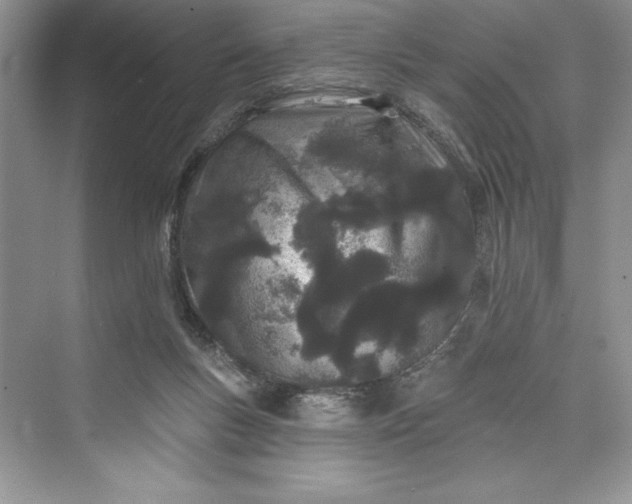 X0000073420167200608111400