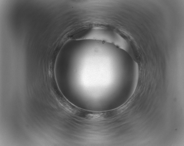 X0000073420170200608111400