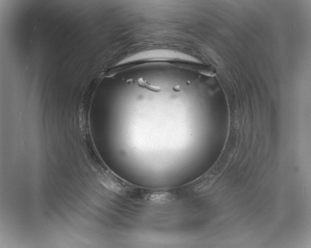 X0000073420173200608111400