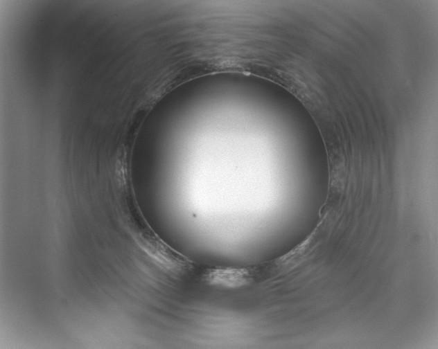 X0000073420179200608111400