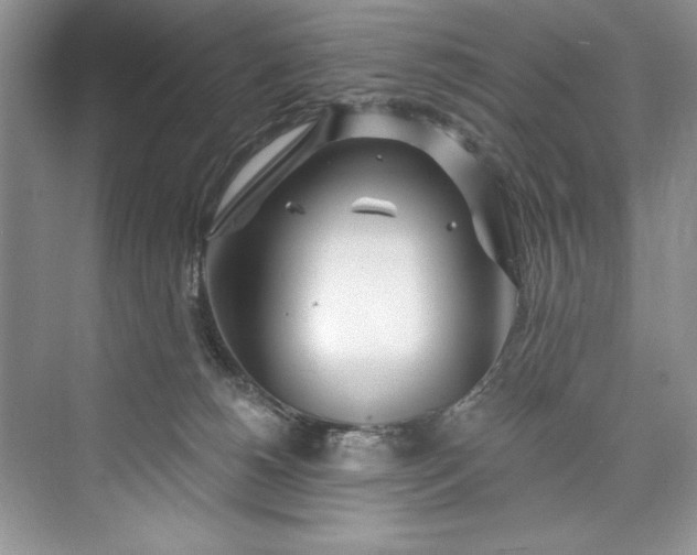 X0000073420180200608111400