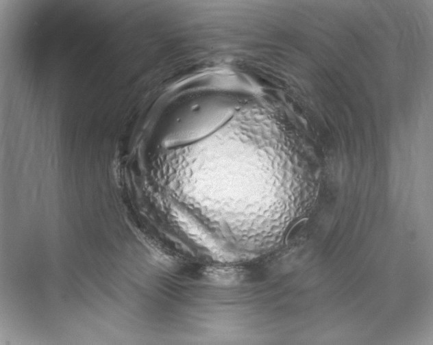 X0000073420181200608111400