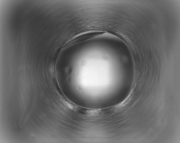 X0000073420192200608111400