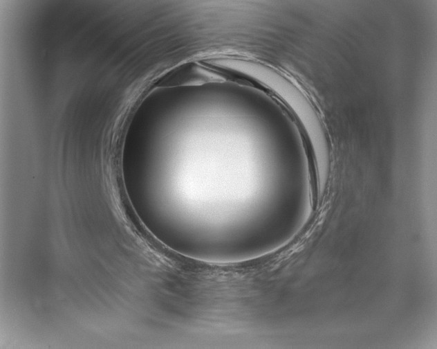 X0000073420193200608111400