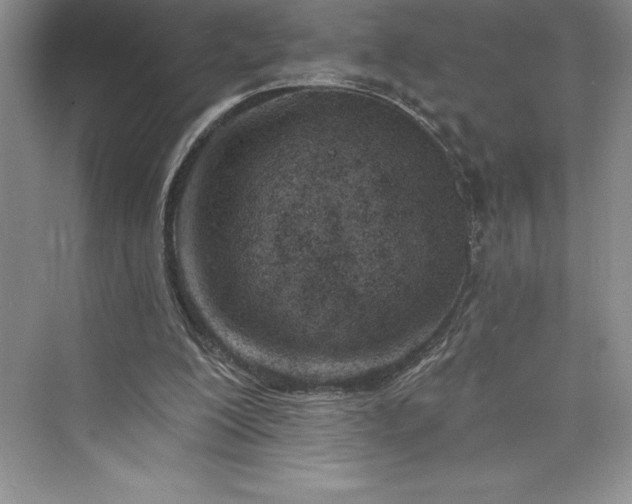 X0000073420200200608111400