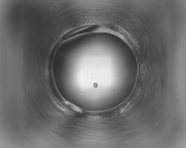 X0000073420203200608111359