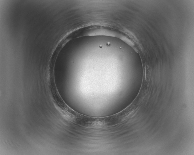 X0000073420204200608111359