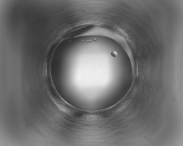 X0000073420205200608111359