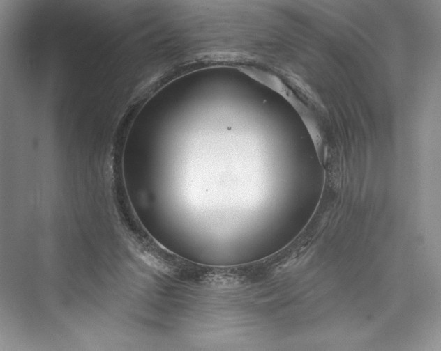 X0000073420207200608111359