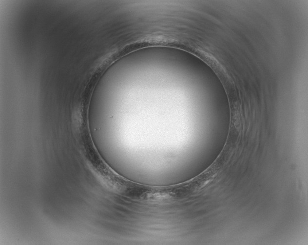 X0000073420208200608111359