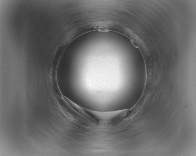 X0000073420209200608111359