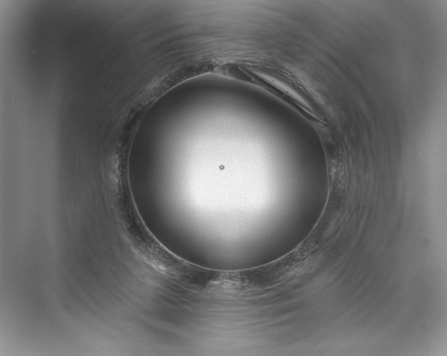 X0000073420211200608111359