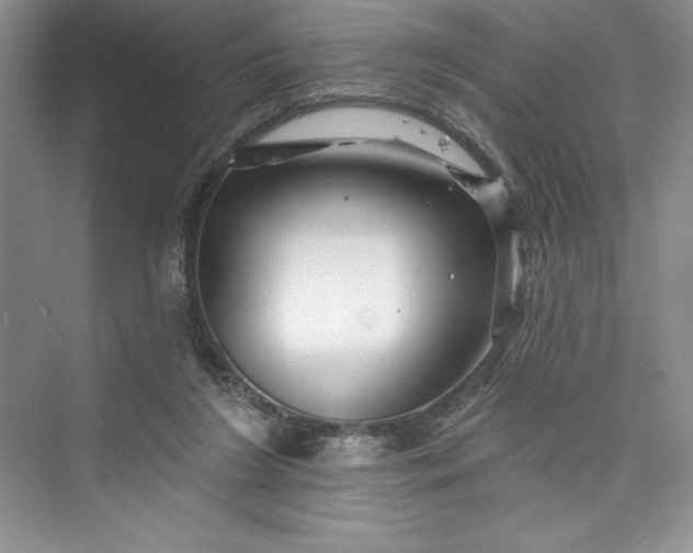 X0000073420212200608111359