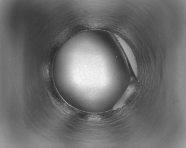 X0000073420214200608111359