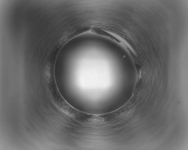 X0000073420215200608111359