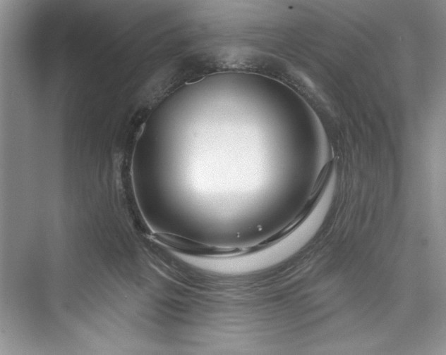 X0000073420217200608111359